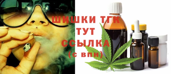 гашик Белоозёрский