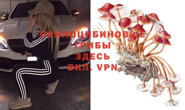 амф Балахна