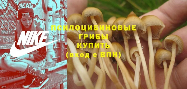 кокс Балабаново