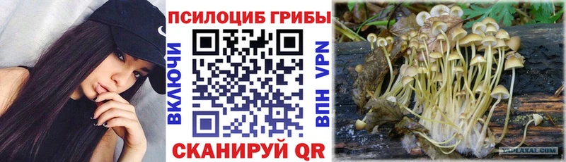 Купить где  Питкяранта  Псилоцибиновые грибы мицелий 